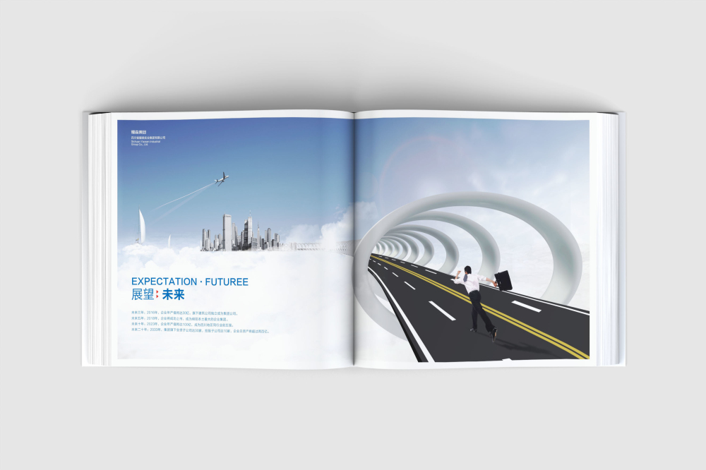 丛台区画册设计